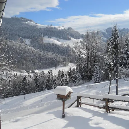 In Niederndorf Near Skiwelt Lift, Cleaning Included Chalet