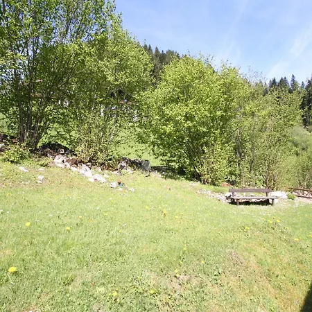 In Niederndorf Near Skiwelt Lift, Cleaning Included Niederndorferberg